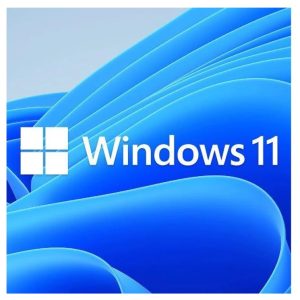Microsoft Windows 11 Home 64 Bit ESD