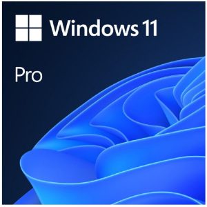 Microsoft Windows 11 Professional 64-bit - ESD